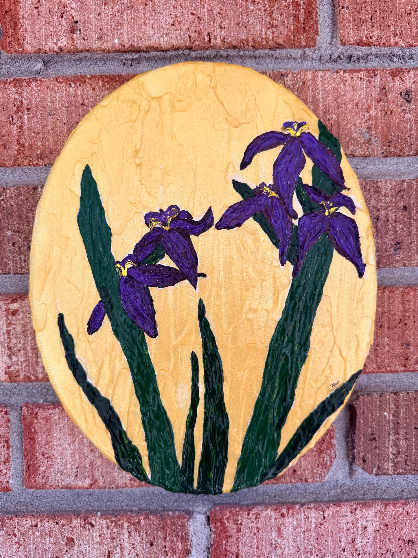 Kaley’s Irises