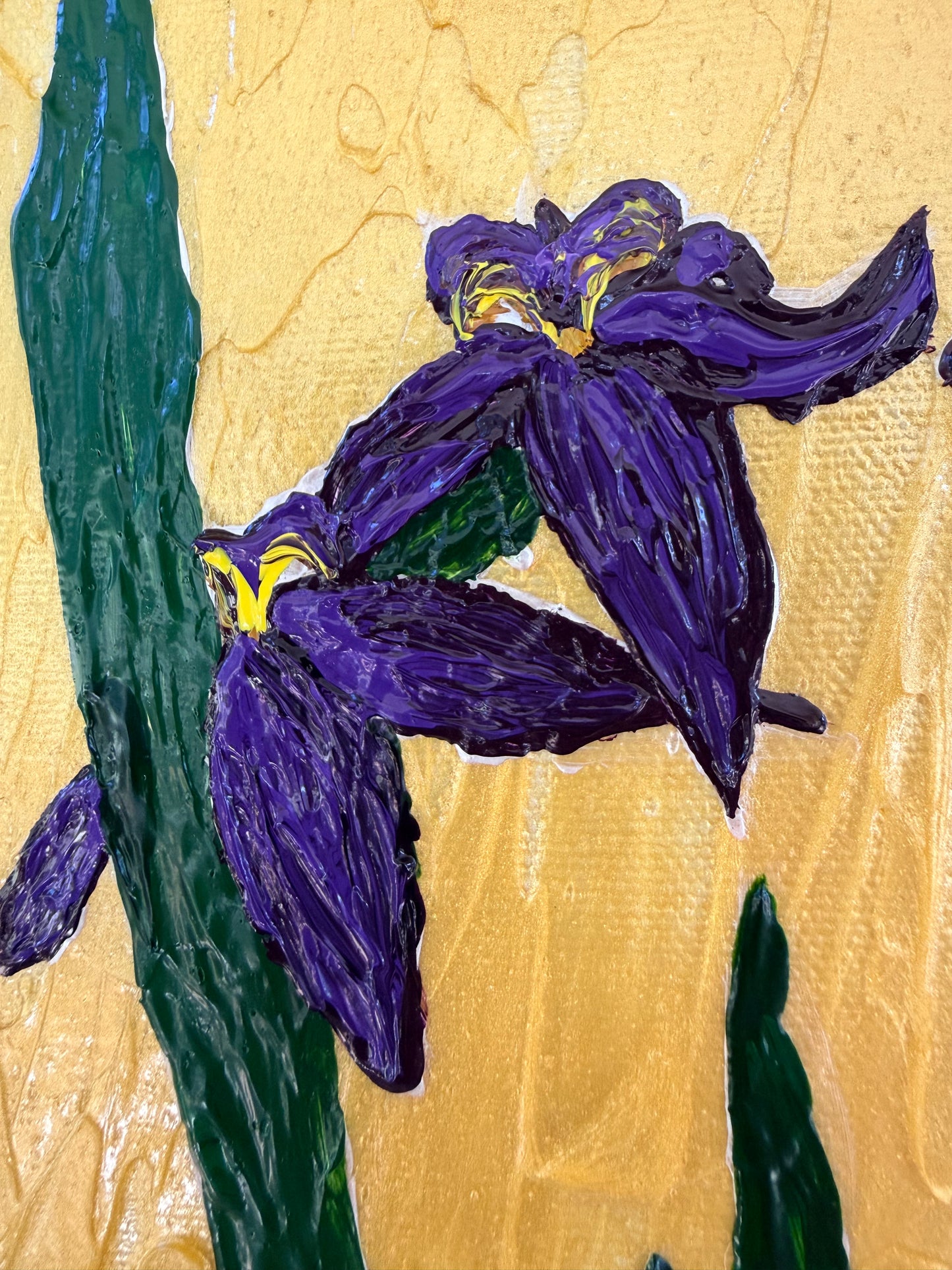 Kaley’s Irises