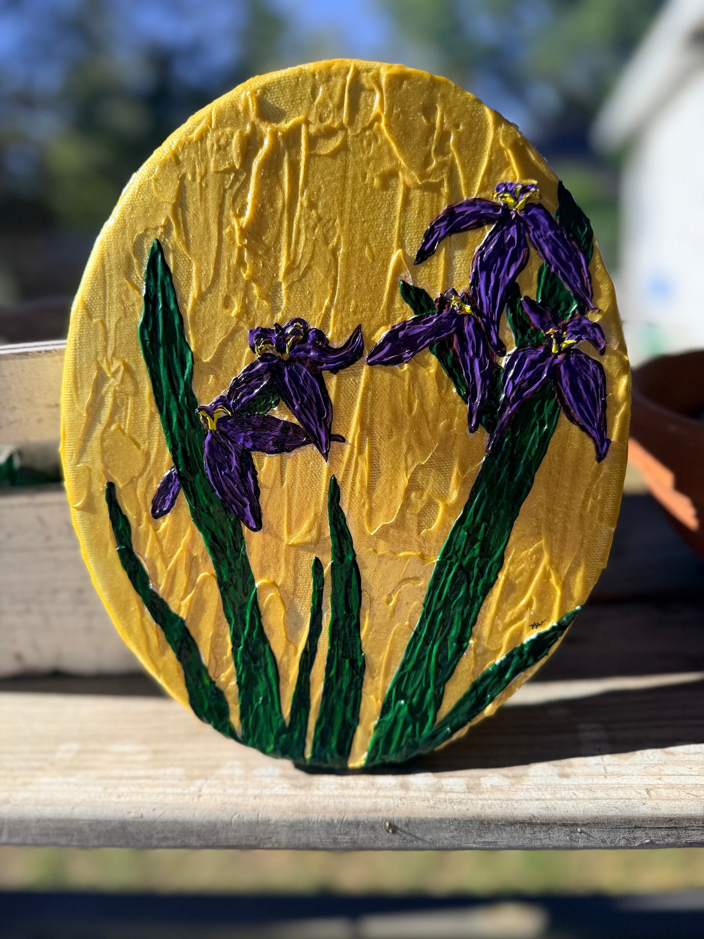 Kaley’s Irises