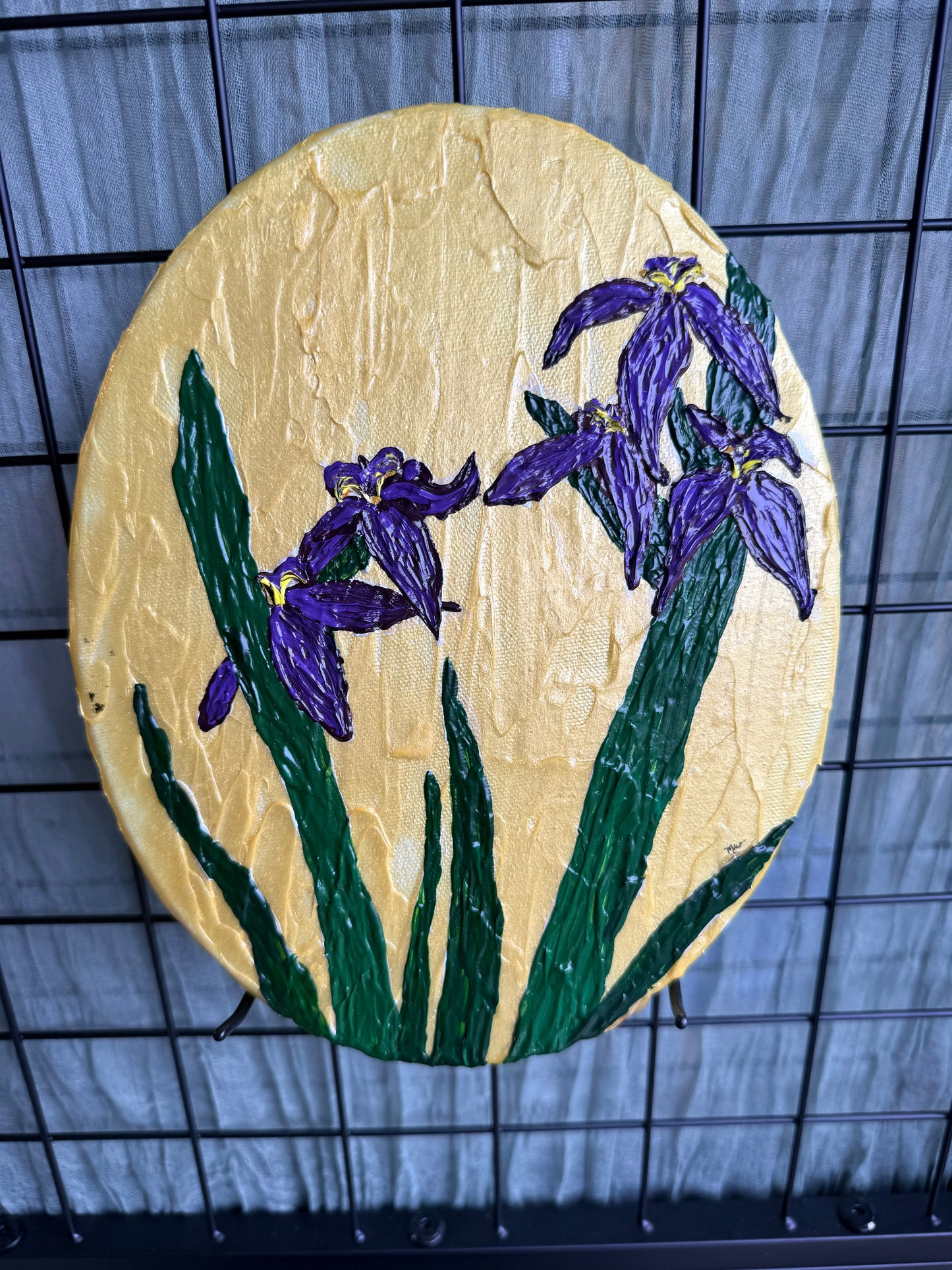Kaley’s Irises