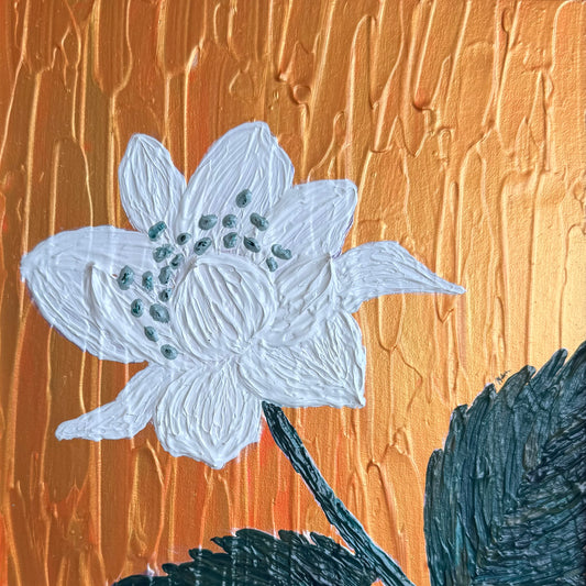 Blackberry Bloom