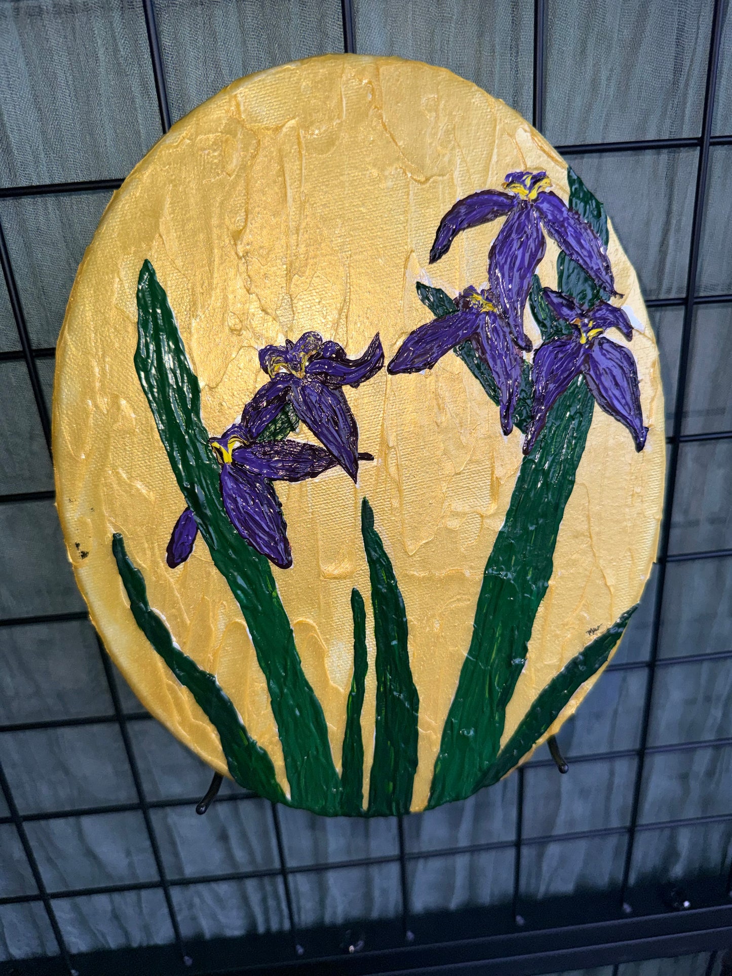 Kaley’s Irises