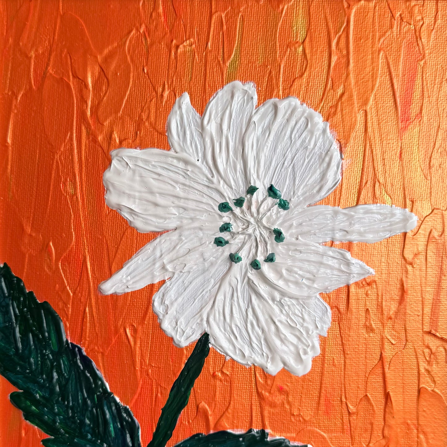 Another Blackberry Bloom