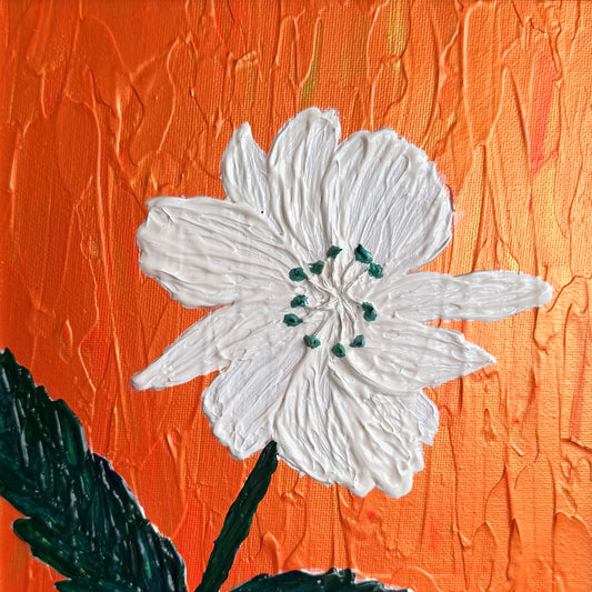 Another Blackberry Bloom