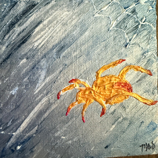 Spider