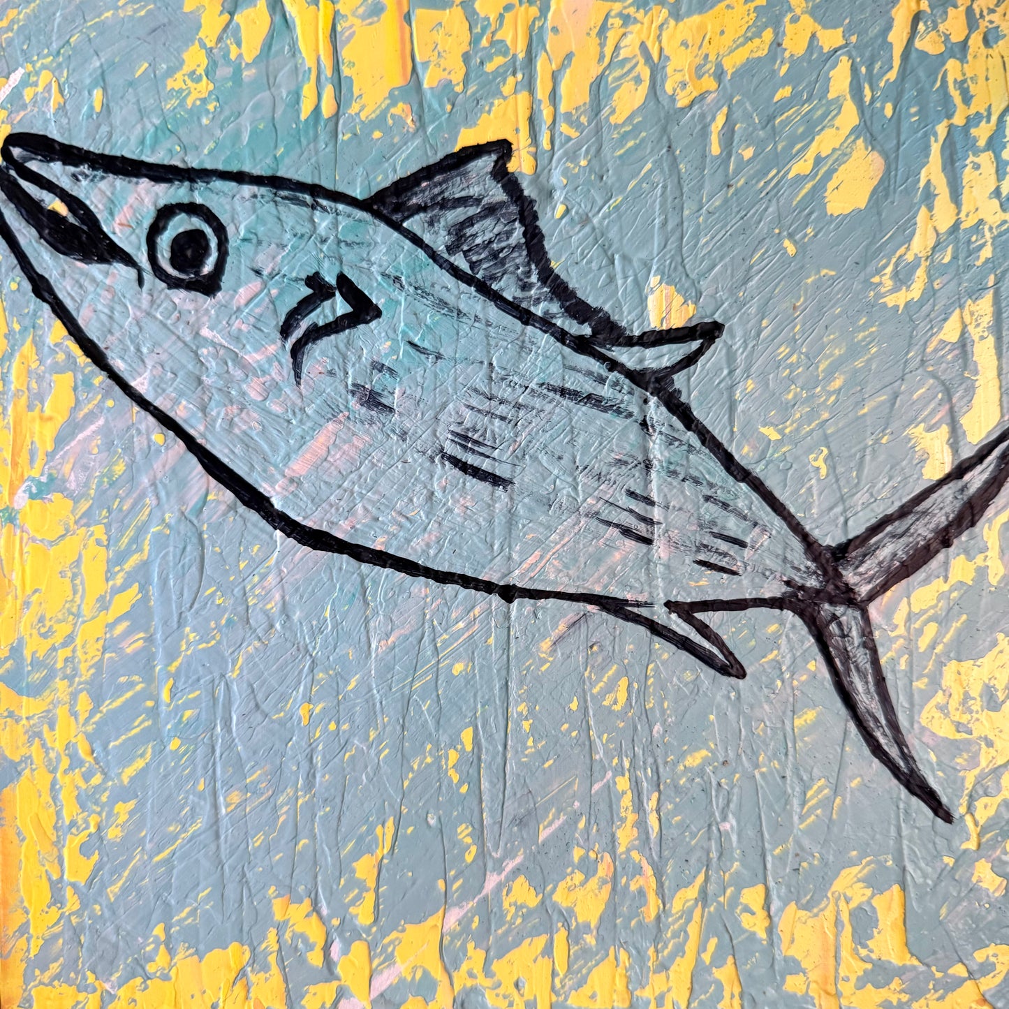 Do you feel Bonito, fish?
