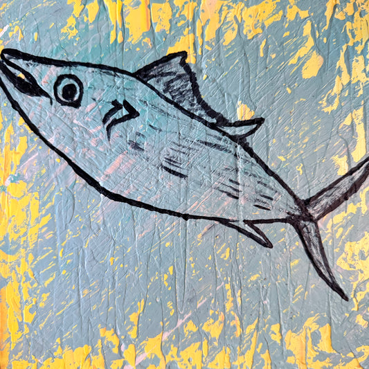 Do you feel Bonito, fish?