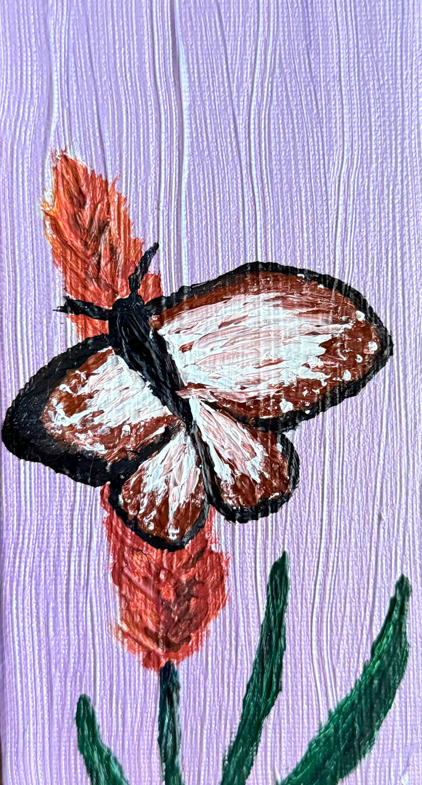 Virginia Butterfly