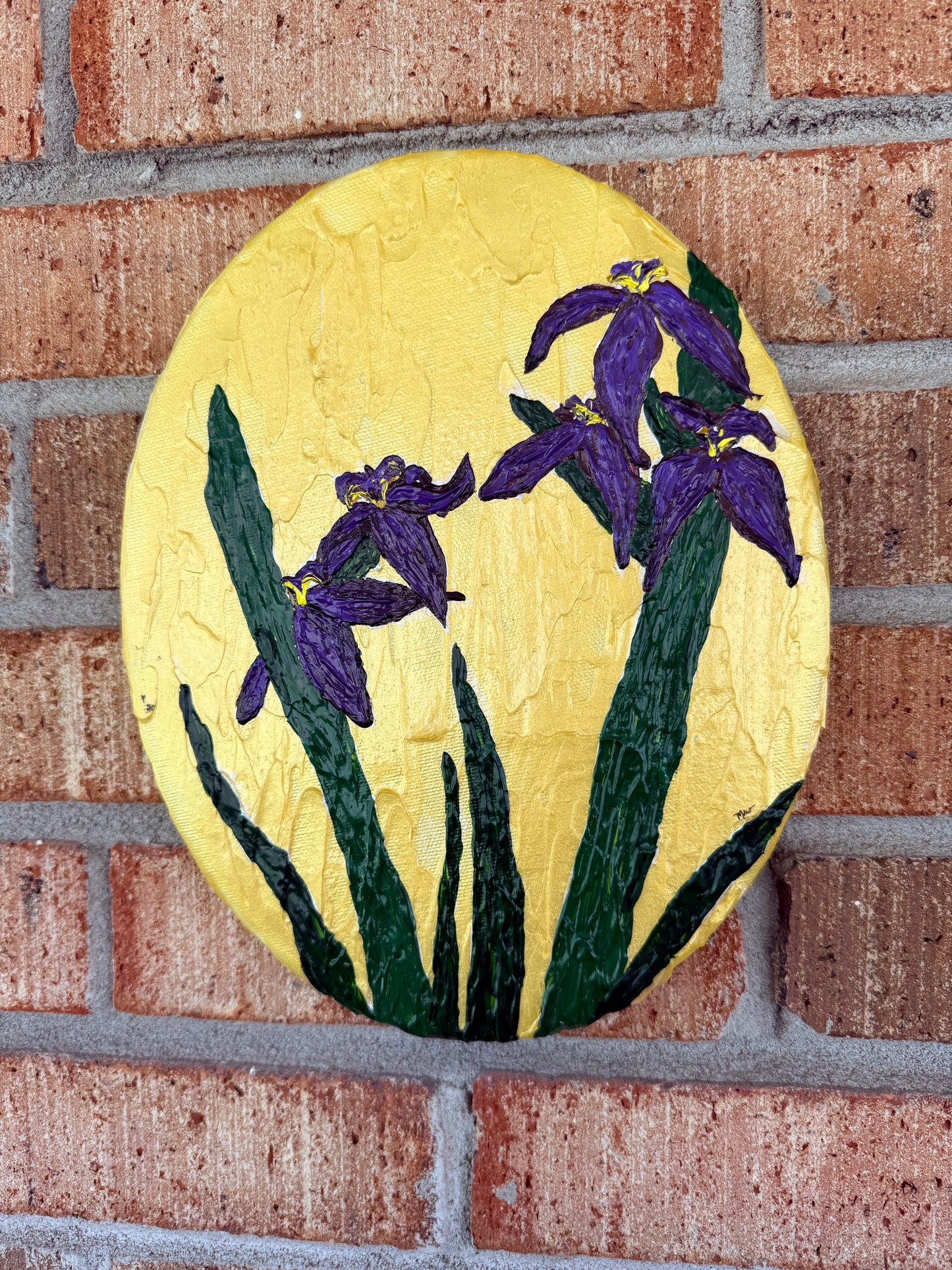 Kaley’s Irises