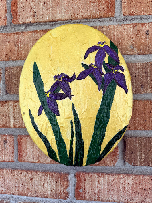 Kaley’s Irises