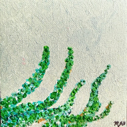 Cascading Succulent
